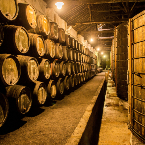 barrels of port in porto cellar