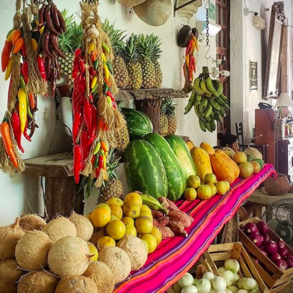 riviera maya jungle village