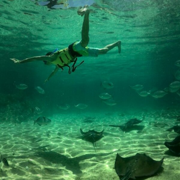 riviera maya cenote swimming
