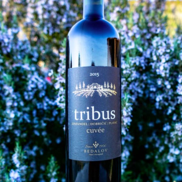 wine bottle in split vineyard