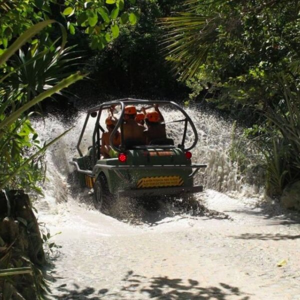 jungle tour in riviera maya