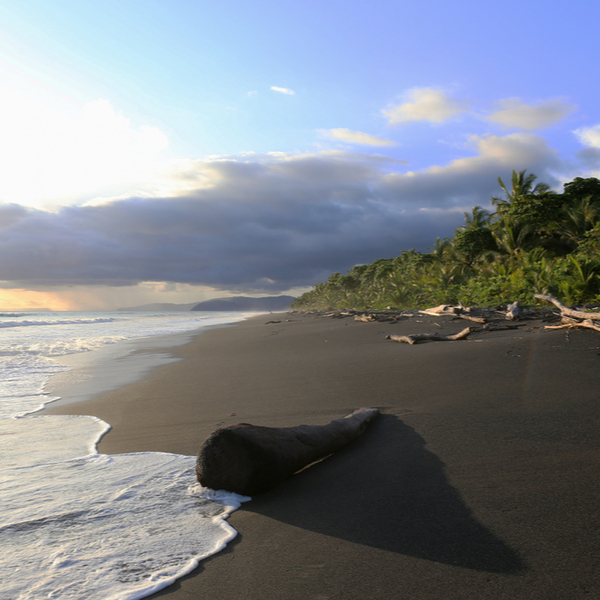 black sand beach in grenada