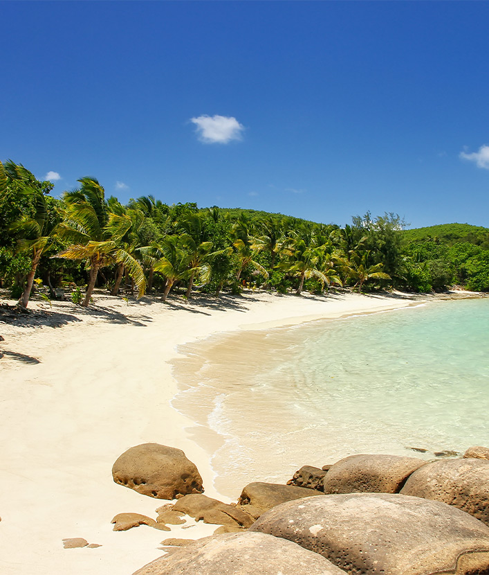 beach view fiji