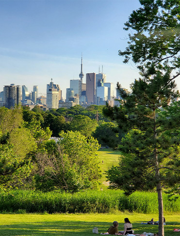 Park in toronto