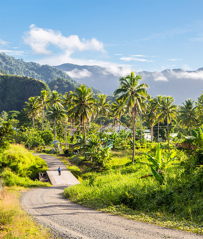 mountains and palm trees in fiji