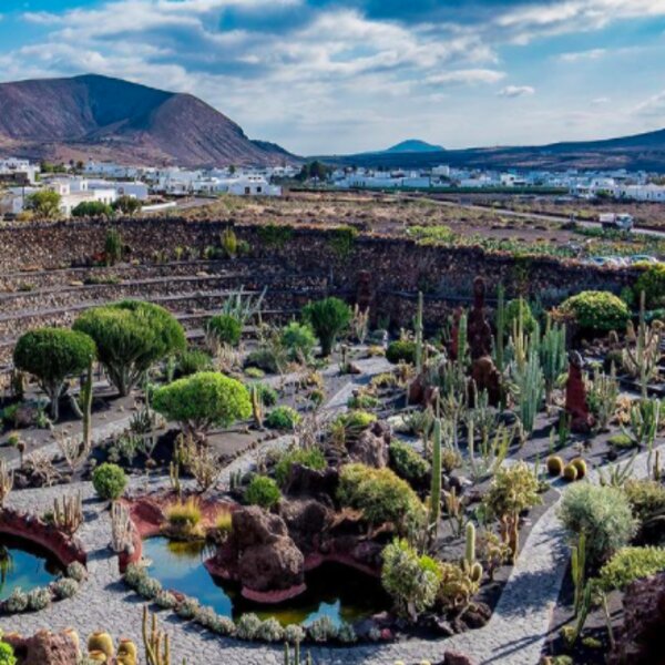 exploring lanzarote cactus garden