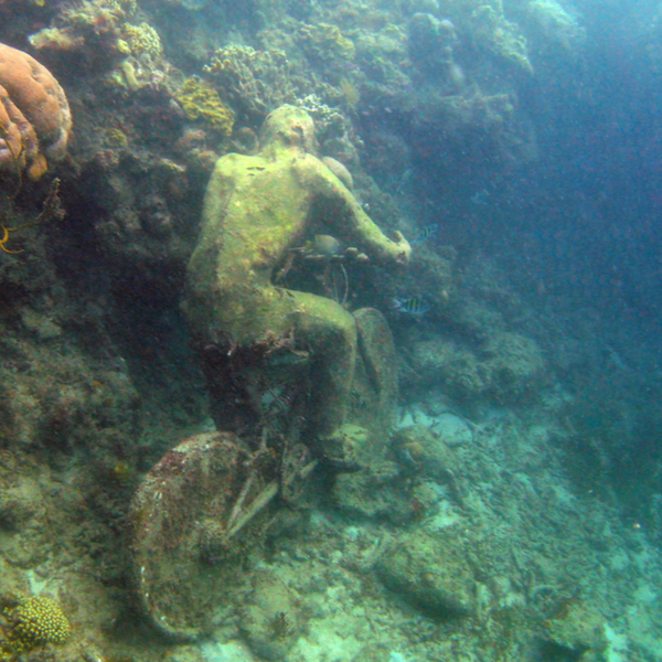 snorkelling at grenada underwater sculpture park