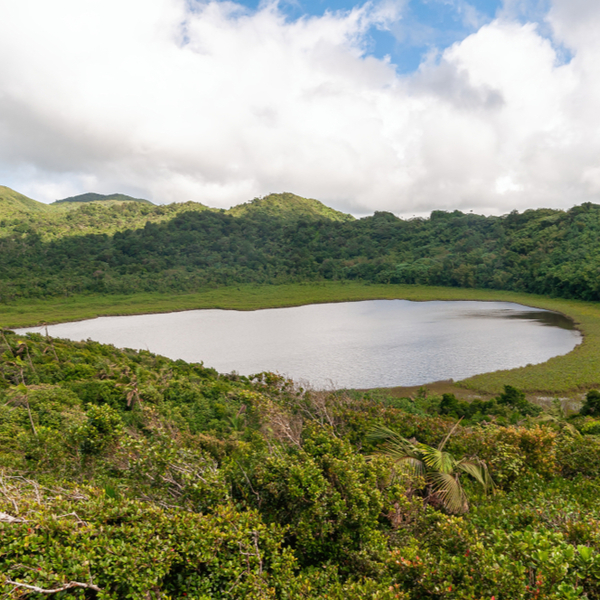 view of lake in grand etang nature reserve in grenada