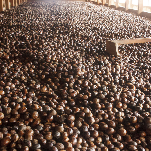 Gouyave Nutmeg Processing Station