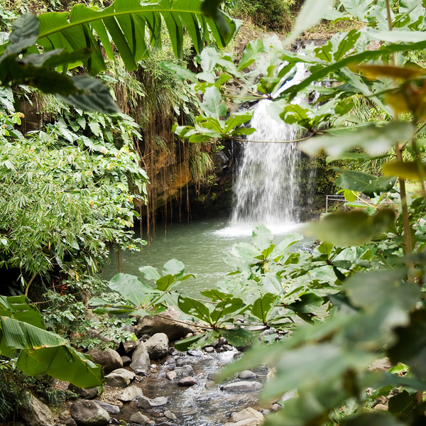 view of waterfall in etang national park in grenada
