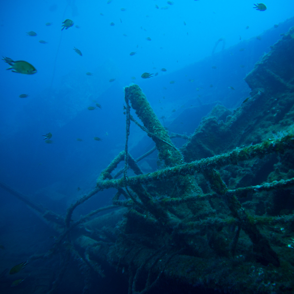 triple tuna dive site in lanzarote