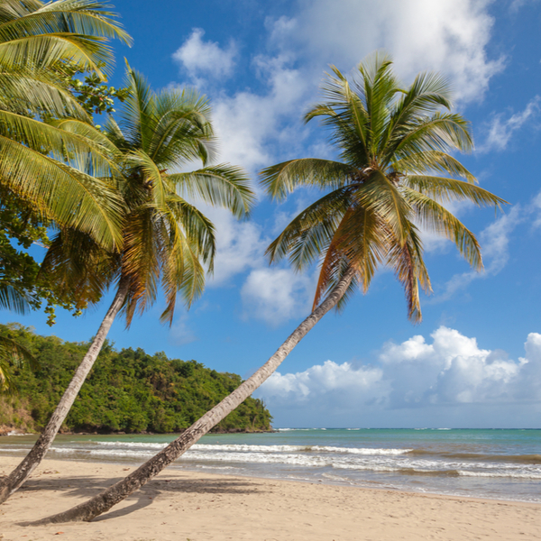 La Sagesse beach in grenada