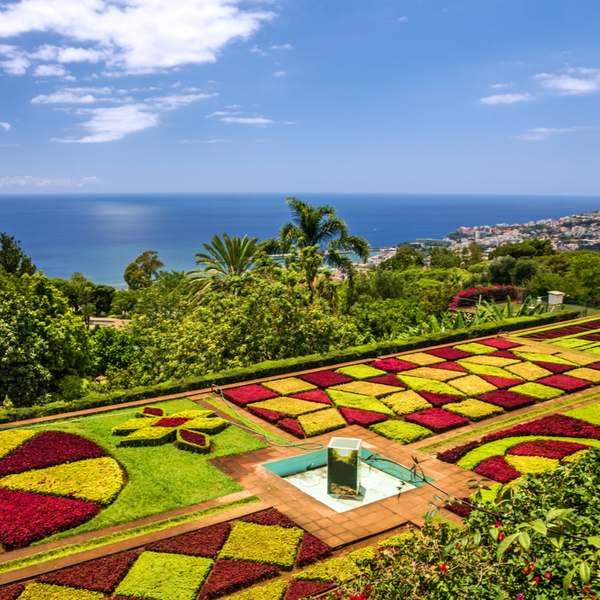 view over sea from madeira landscaped gardens