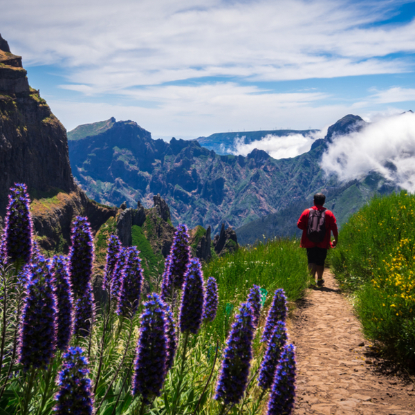 man hiking through Pico Ruivo