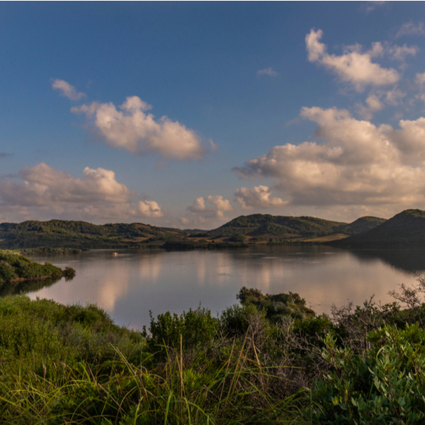wildlife watching spot in menorca