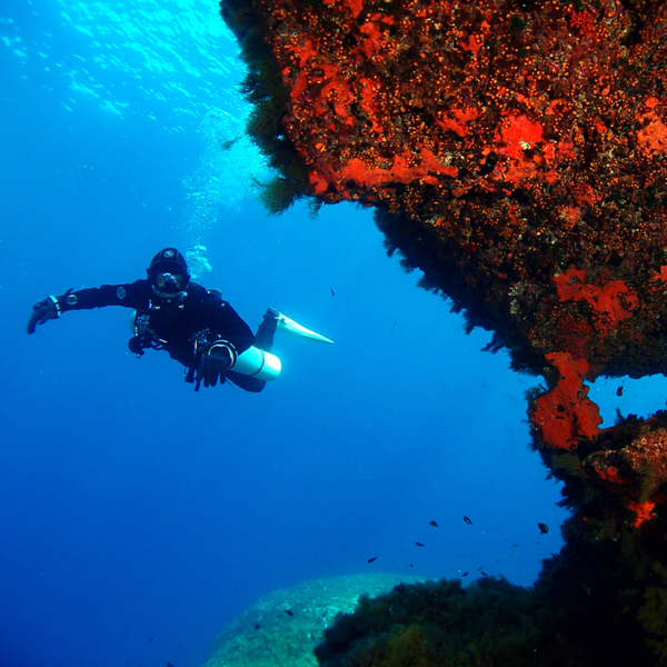 scuba diver exploring the sea in malta