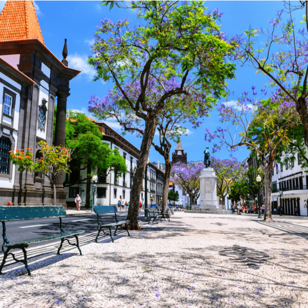 pretty street with old buildings in old town madeira