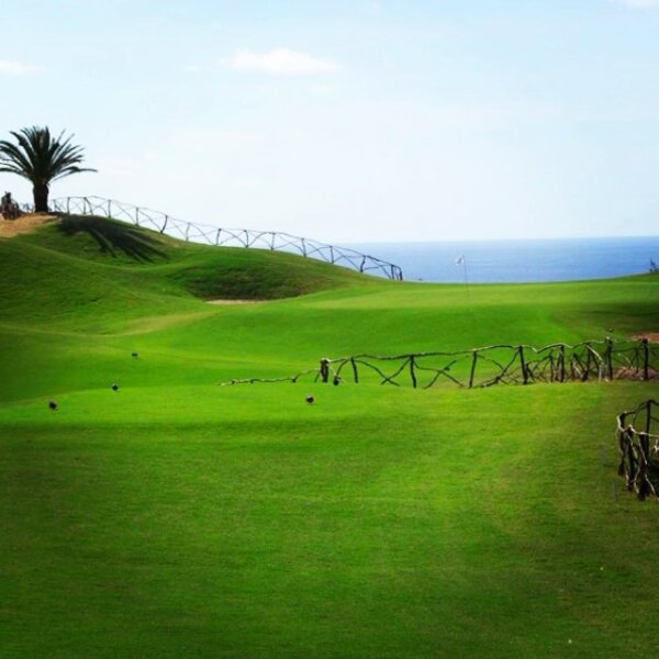 golf club in madeira