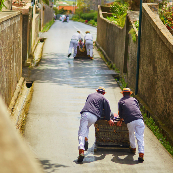 madeira toboggan ride in monte village