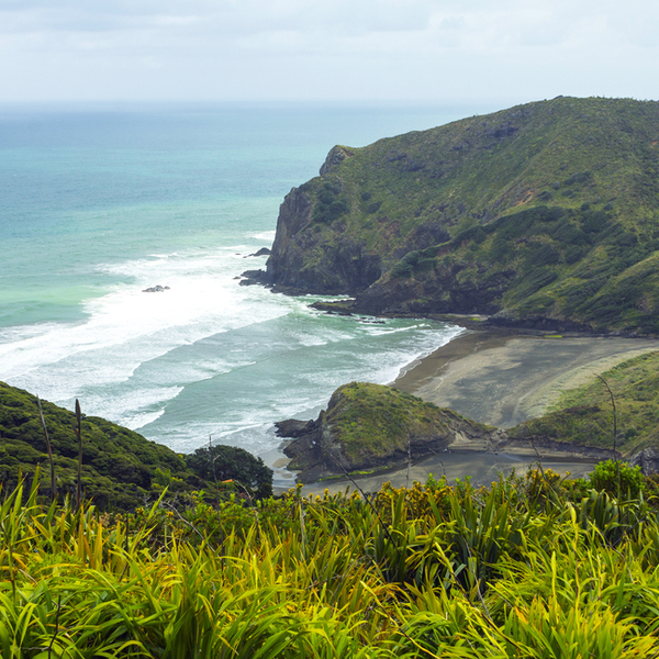 wild beach at Anawhata in auckland
