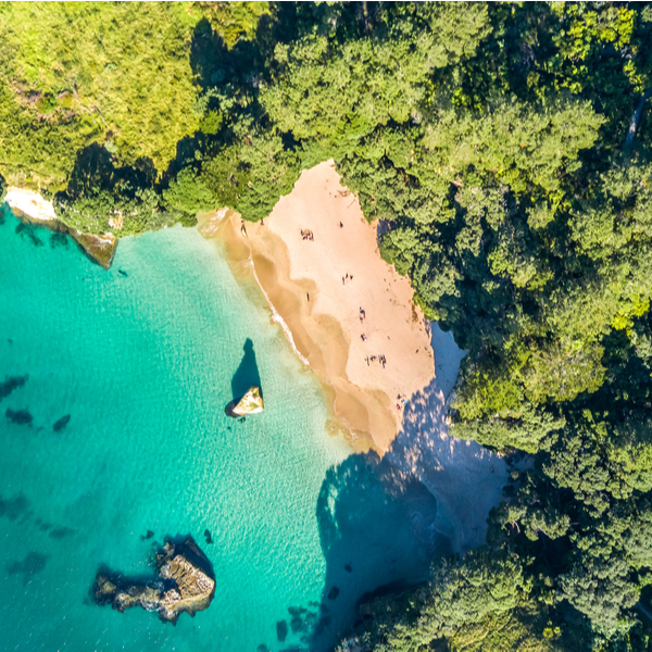 aerial view of Coromandel beach in auckland