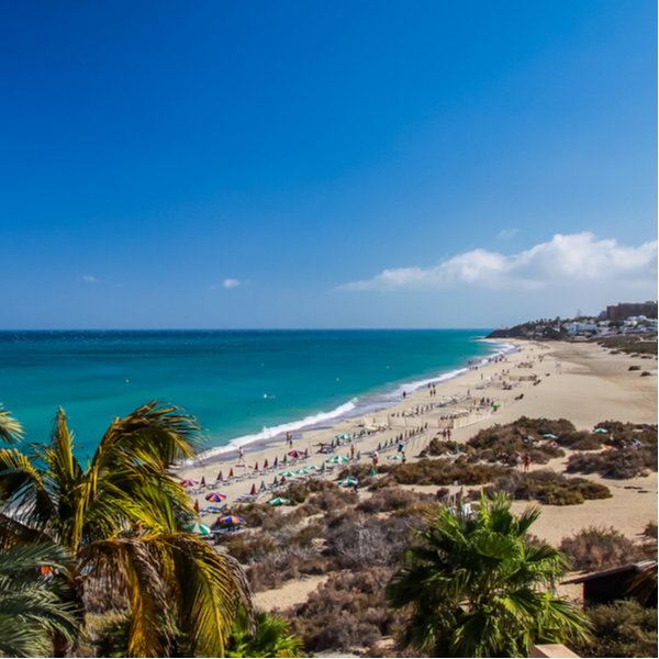 people on beach at costa calma in fuerteventura