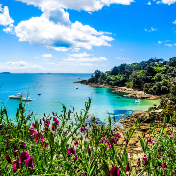 stunning beach on Waiheke Island in new zealand