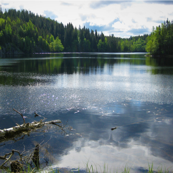 hiking route at Nordmarka lake in oslo