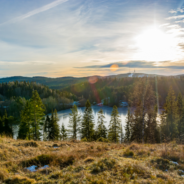 hills and lake at forest near oslo