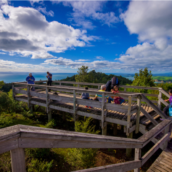 people hiking on Rangitoto Island near auckland