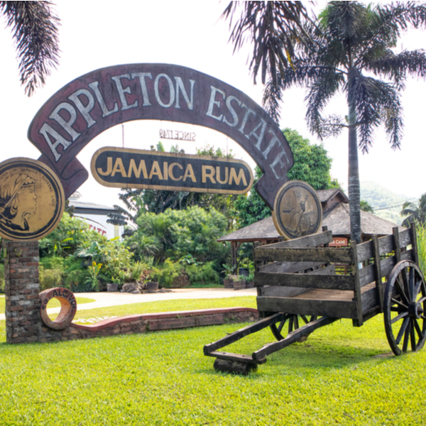 historic rum distillery in jamaica