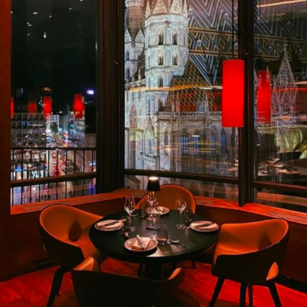 restaurant with cathedral view in vienna