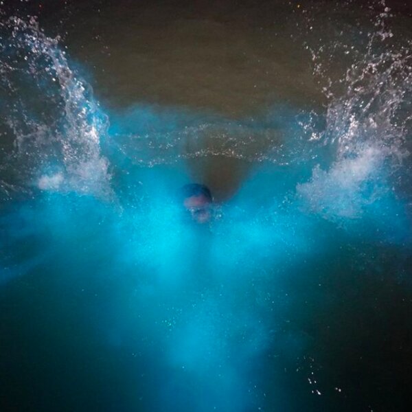 luminous lagoon jamaica