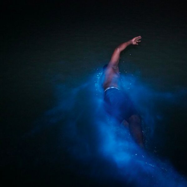 luminous lagoon in jamaica
