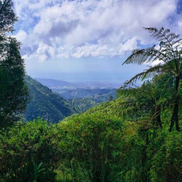 view of blue mountain landscape in jamaica