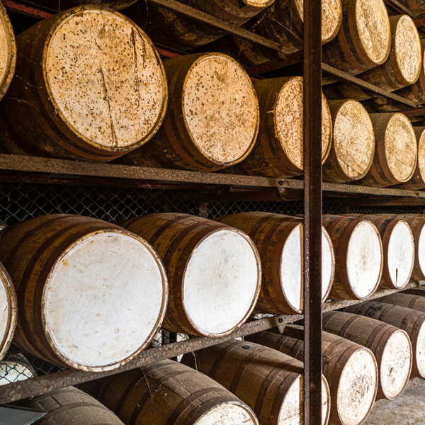barrels of rum ageing at jamaican distillery