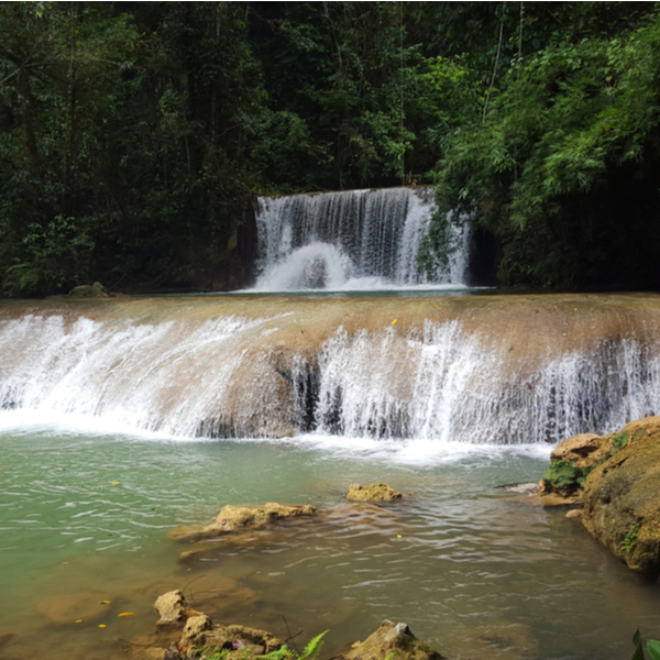 waterfall in jamaican forest