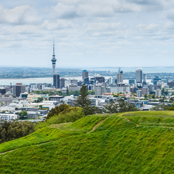 view of auckland from top of mount eden