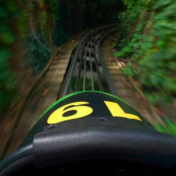 cool runnings style bobsled ride in jamaica