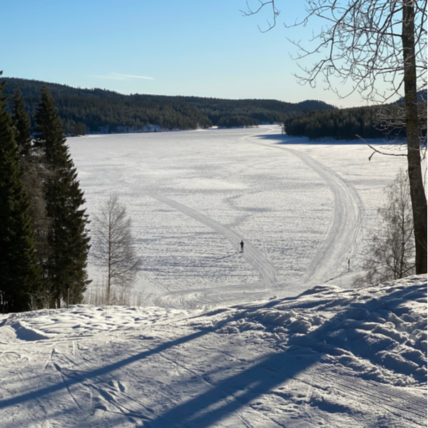 person skiing at Nordmarka near oslo