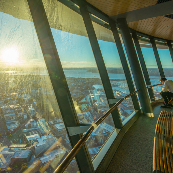 observation deck at auckland's sky tower
