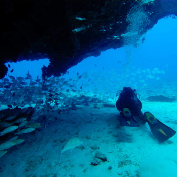 diver exploring underwater wall in fuerteventura
