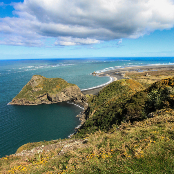 view of rugged coastline at whatipu in new zealand