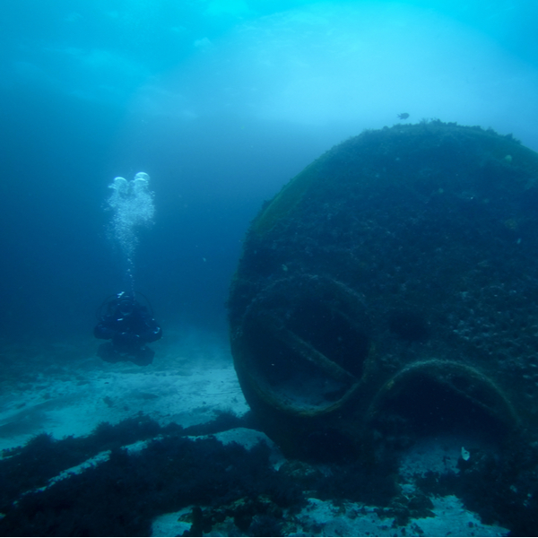 diver exploring shipwreck in the azores sea