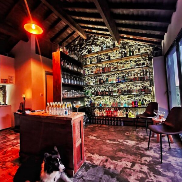 gin library at hotel bar in azores