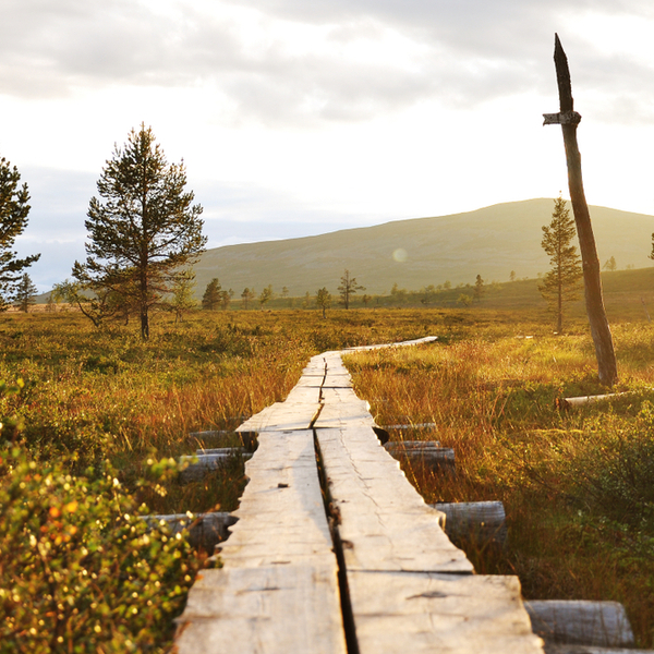 hiking trail in the sunshine in lapland