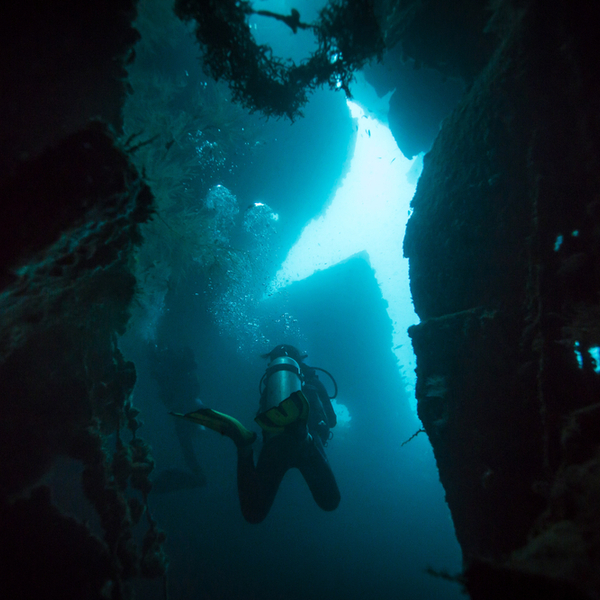 diving at the ss dori wreck in azores