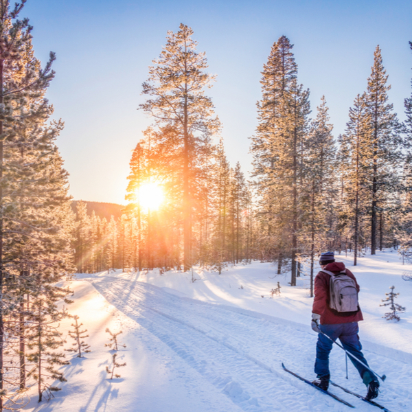 cross country skiing in lapland
