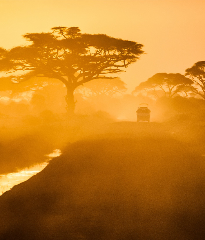 african safari