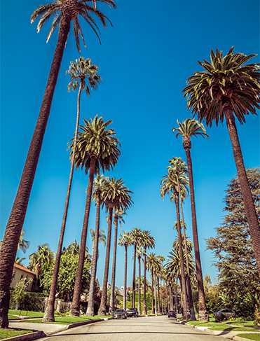 Hãy tưởng tượng mình đang chinh phục Hollywood và đắm mình trong vẻ đẹp lộng lẫy của Los Angeles. Ảnh du lịch Los Angeles sẽ đưa bạn đến những địa điểm nổi tiếng của thành phố này và trải nghiệm cuộc sống của người Mỹ.